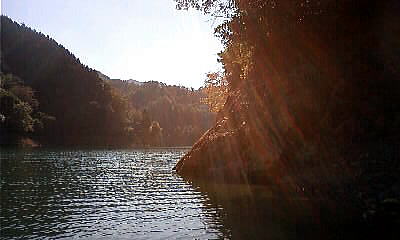 �^�_���̒���
�啪�s�����̃J�C���v���N�e�B�b�N ���̉@ �@�@�@�@�u�}�i�J�C���v�@TEL097-551-0911